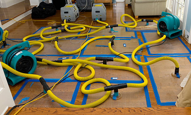 Professional Basement Flood Cleanup technician working in Sharon Center, OH